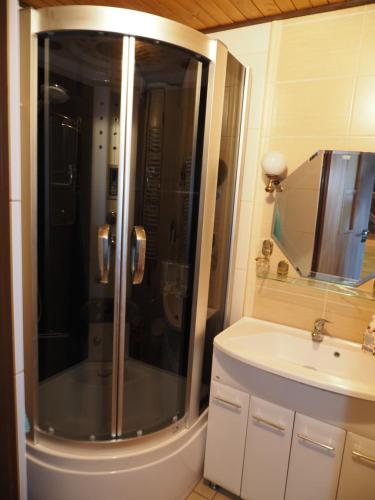 W łazience znajduje się prysznic i biała umywalka. w obiekcie Domek Olmonty w mieście Białystok