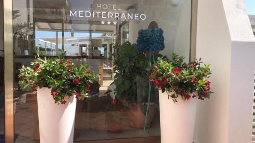 dwie doniczki przed oknem sklepu w obiekcie Hotel Mediterraneo w mieście Latina