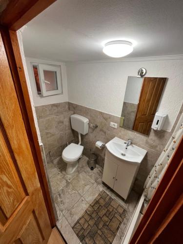 ein Badezimmer mit Toilette und Waschbecken in der Unterkunft Pensiunea Simone in Cîrţişoara