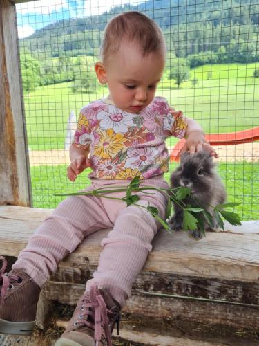 a baby sitting on a fence holding a hamster at Ferienparadies Taxen in Sankt Veit im Pongau