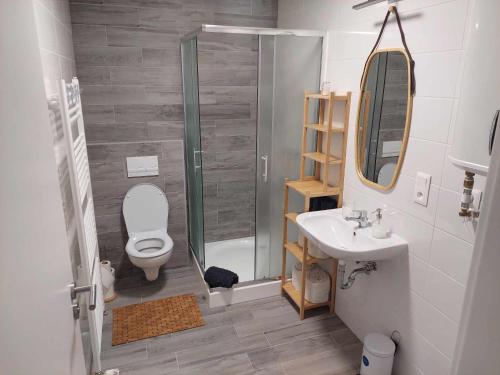uma casa de banho com um WC, um lavatório e um chuveiro em Apartmán Bešeň 304 em Bešeňová