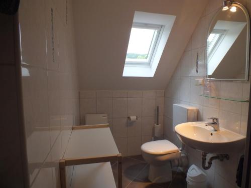 ein Bad mit einem Waschbecken, einem WC und einem Fenster in der Unterkunft Ferienhaus Moni mit 2 separaten Wohnungen am Silbersee in Frielendorf