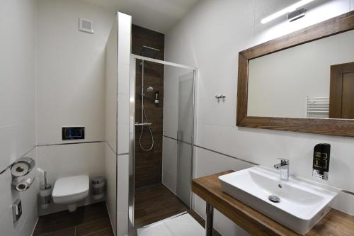 a bathroom with a sink and a shower and a mirror at Penzión JANÍK JASNÁ in Belá