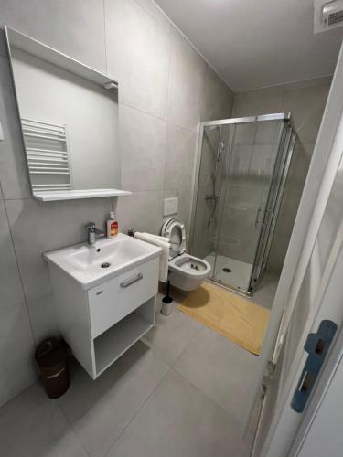 La salle de bains est pourvue d'un lavabo, d'une douche et de toilettes. dans l'établissement APARTMENTS EDWINA, à Portorož