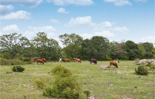 a herd of horses grazing in a field at 3 Bedroom Lovely Home In Borgholm in Borgholm