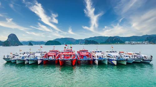 un grupo de barcos estacionados en el agua en LAS VEGAS HOTEL en Quang Ninh