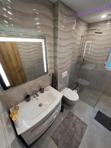 a bathroom with a sink and a toilet and a mirror at Villa Dora in Krapinske Toplice