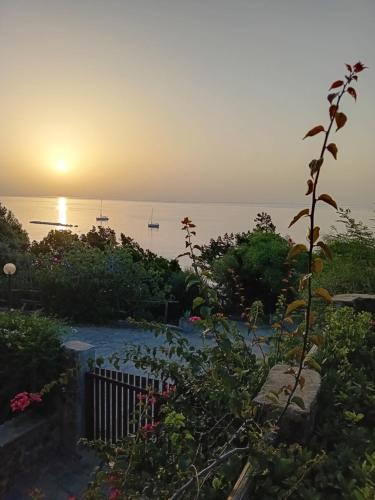 a view of the ocean from a garden at sunset at Luna e Mare in Cala Gonone