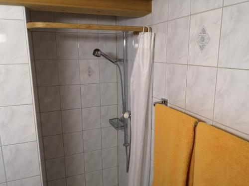 a shower with a shower curtain in a bathroom at Bolgenstrasse 12 in Bolgen