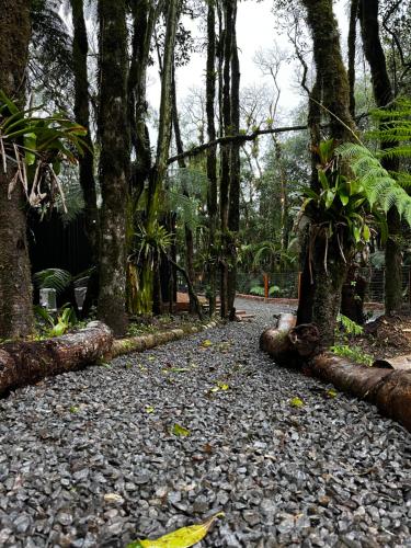 a path through a forest with trees and rocks at Alpes Canela chales em meio a natureza in Canela