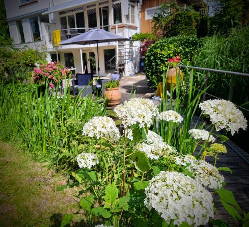 a garden with white flowers in front of a house at Verborgen Parel aan de Rotte in Rotterdam