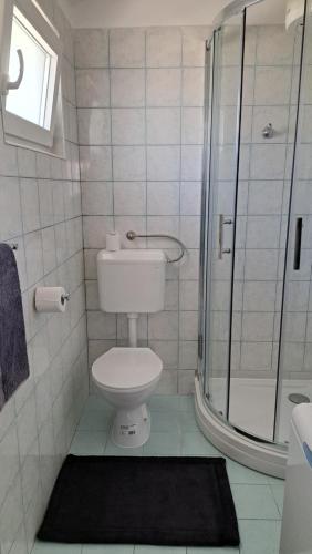 een badkamer met een toilet en een glazen douche bij Kuća za odmor Mizi in Vintijan