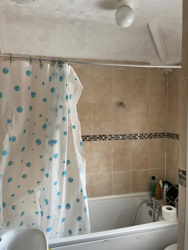 a bathroom with a shower curtain in a tub at 3 Mayfield rd in Tipton