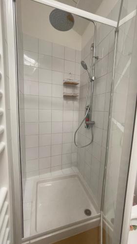 a shower with a glass door in a bathroom at TINTORIA in Parma