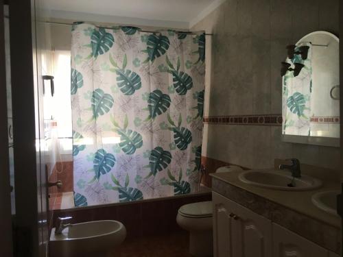 a bathroom with a sink and a toilet and a shower curtain at Independiente estudio en acogedora casita de Mai in Adeje