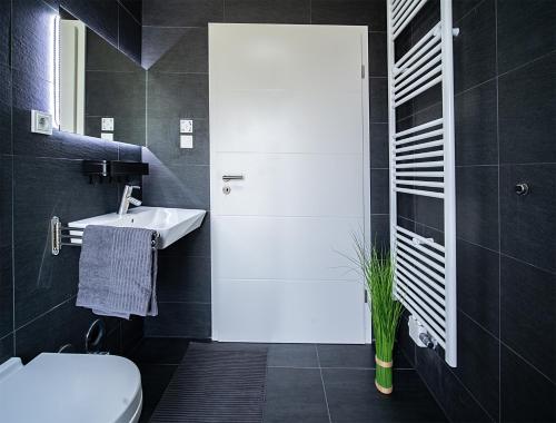 Blauer Stein Apartments WH1 في بولهايم: حمام به مرحاض أبيض ومغسلة