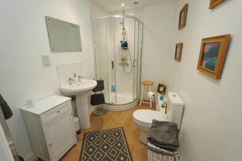 a bathroom with a shower and a toilet and a sink at The Old Forge in Somerton