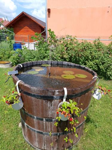 a pond in a barrel in a yard at Casa Bokor in Sovata