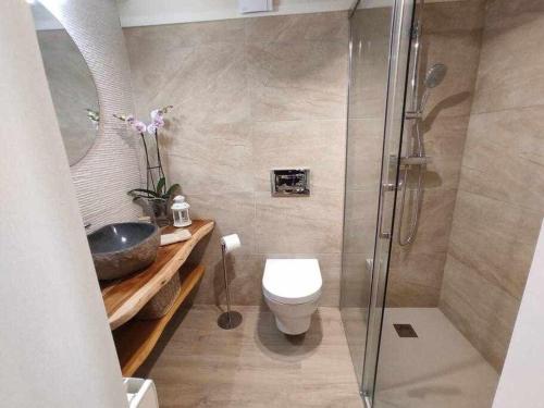 a bathroom with a shower and a toilet and a sink at La petite Maison d'Enveitg in Enveitg