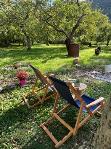 dwa krzesła siedzące na trawie w parku w obiekcie Idila pod Rtnjem - Najam cele vikendice sa bazenom w mieście Ilino