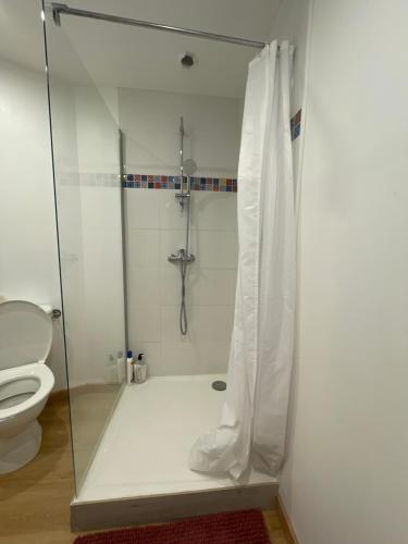 La salle de bains est pourvue d'une douche en verre et de toilettes. dans l'établissement Belle maison de ville rénovée, à Lavardac