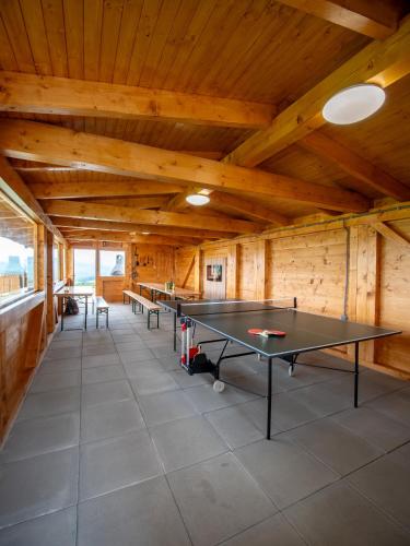 Kemudahan pingpong di Chalety BUČINA atau berdekatan
