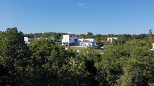 Villa Elsa with Private Pool Overlooking Private Olive Grove
