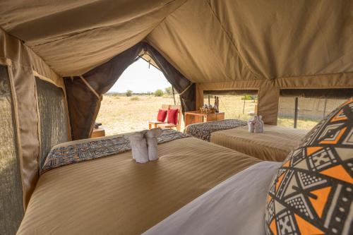 eine Gruppe von 4 Betten in einem Zelt in der Unterkunft Africa Safari Serengeti Ikoma Camping in Serengeti-Savanne