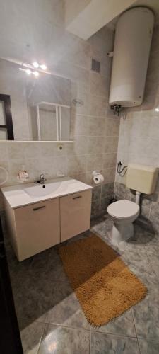 Kúpeľňa v ubytovaní Apartments Bećir