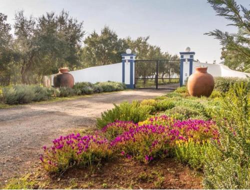 a garden with pink flowers and a fence and a vase at Herdade Terra rica in Alcácer do Sal