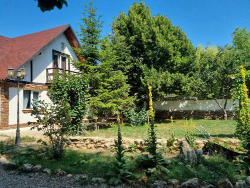 a garden in front of a house at Magic Garden Villa in Vama Veche