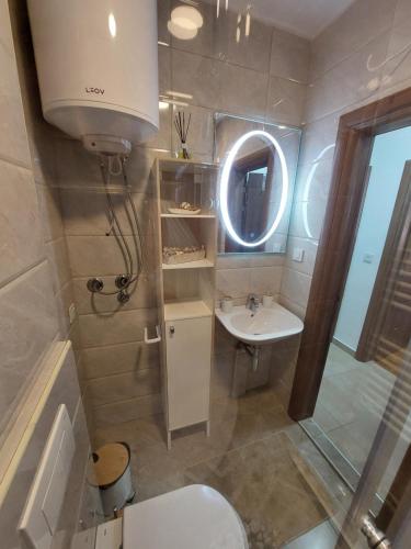 a bathroom with a sink and a toilet and a mirror at Apartment Gelić Family in Kumanovo