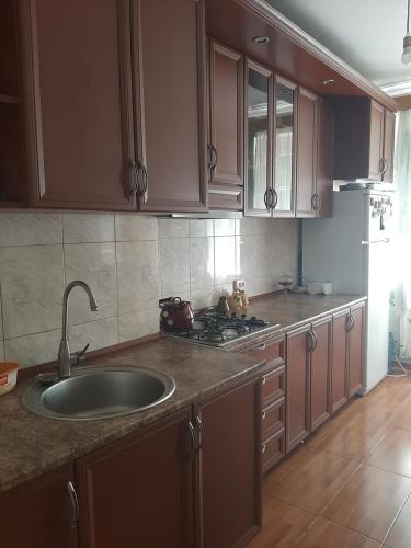 Kuchyň nebo kuchyňský kout v ubytování hotel in chiatura