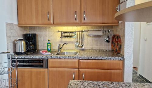 a kitchen with wooden cabinets and a sink at Wohnanlage "Am Grün" Seelenbaumler in Wittenbeck