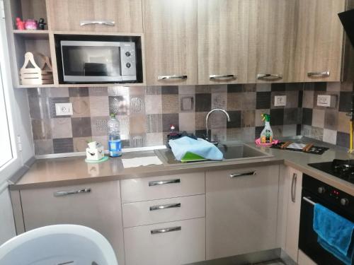 eine Küche mit einer Spüle und einer Mikrowelle in der Unterkunft Chez Zina in Tacape
