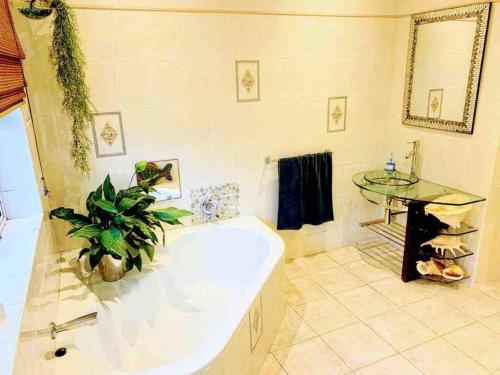 a bathroom with a tub and a potted plant at Spacious home in Cape Towns Blouberg area in Cape Town