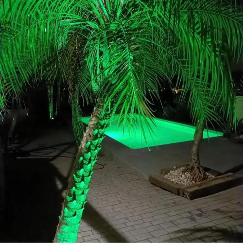 Kolam renang di atau dekat dengan Villamasai "Un pedacito de África en Valencia"