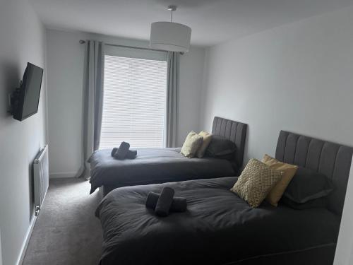 a bedroom with two beds and a tv and a window at The Coach House in Welwyn Garden City