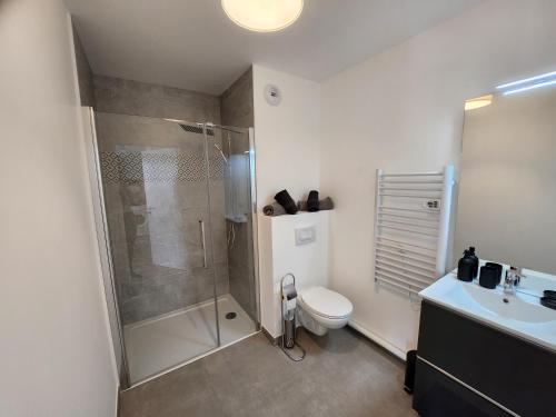 e bagno con doccia, servizi igienici e lavandino. di Le Quai des Bleus a Caen