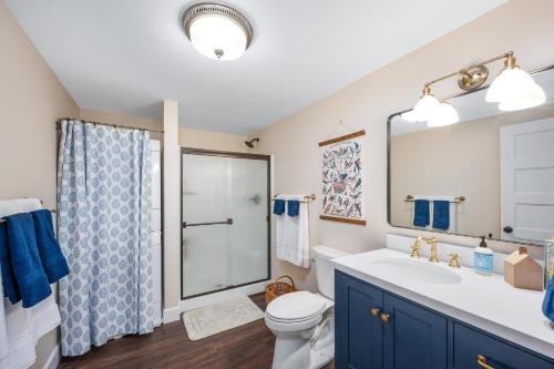 a bathroom with a sink and a toilet and a mirror at Country Cottage Basement Apartment in Hayden