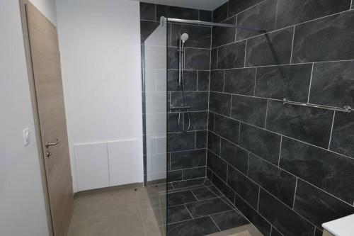 La salle de bains est pourvue d'une douche avec du carrelage noir. dans l'établissement Gîte Le Scarabée, à Saint-Dié-des-Vosges