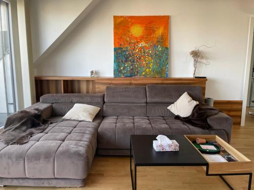 salon z kanapą i obrazem w obiekcie Rooftop Terrace- Panoramablick über Wien w Wiedniu