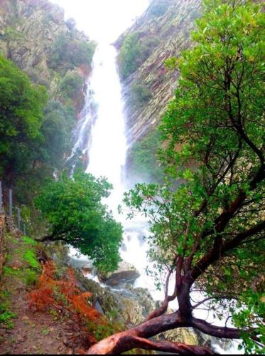 a waterfall on the side of a mountain with trees at Casa rural La calleja de las hurdes TRCC00555 in Sauceda