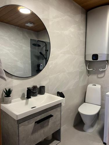 La salle de bains est pourvue d'un lavabo, d'un miroir et de toilettes. dans l'établissement Kreutzwaldi Kodu 2, à Võru