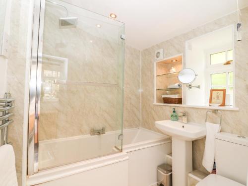 a bathroom with a shower and a toilet and a sink at Thatched Cottage in Chipping Campden