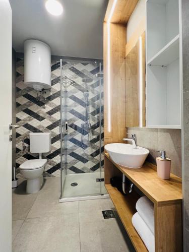 a bathroom with a shower and a toilet and a sink at Apartmani AViS in Selce