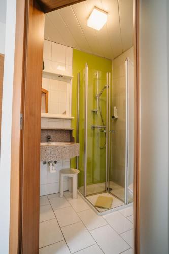 une salle de bain avec douche et lavabo dans l'établissement Gästehaus Thomahan, à Friesach