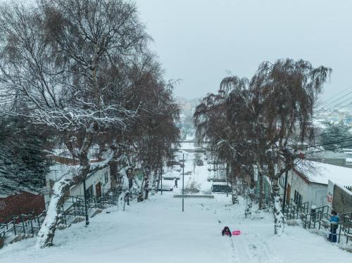 a snow covered street in a town with trees at Almasur Express Punta Arenas in Punta Arenas