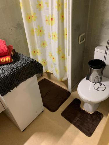 bagno con servizi igienici e doccia con materassini di Studio Aux Portes du Port de Canet-Plage avec place de parking privé a Canet-en-Roussillon