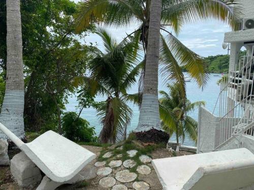 a white bench sitting next to a palm tree at Live an adventure in Taboga 1 in Taboga